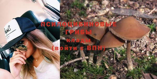 spice Михайлов