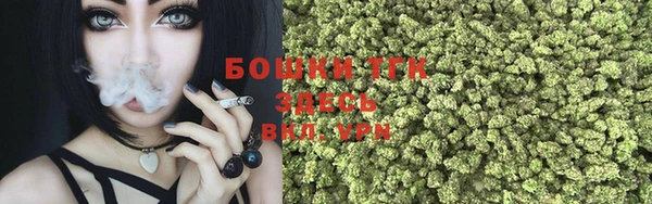 spice Михайлов