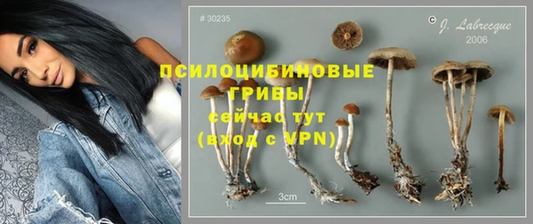 spice Михайлов