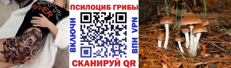 Галлюциногенные грибы мицелий  Яхрома 